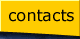 How to get in touch with SSC staff